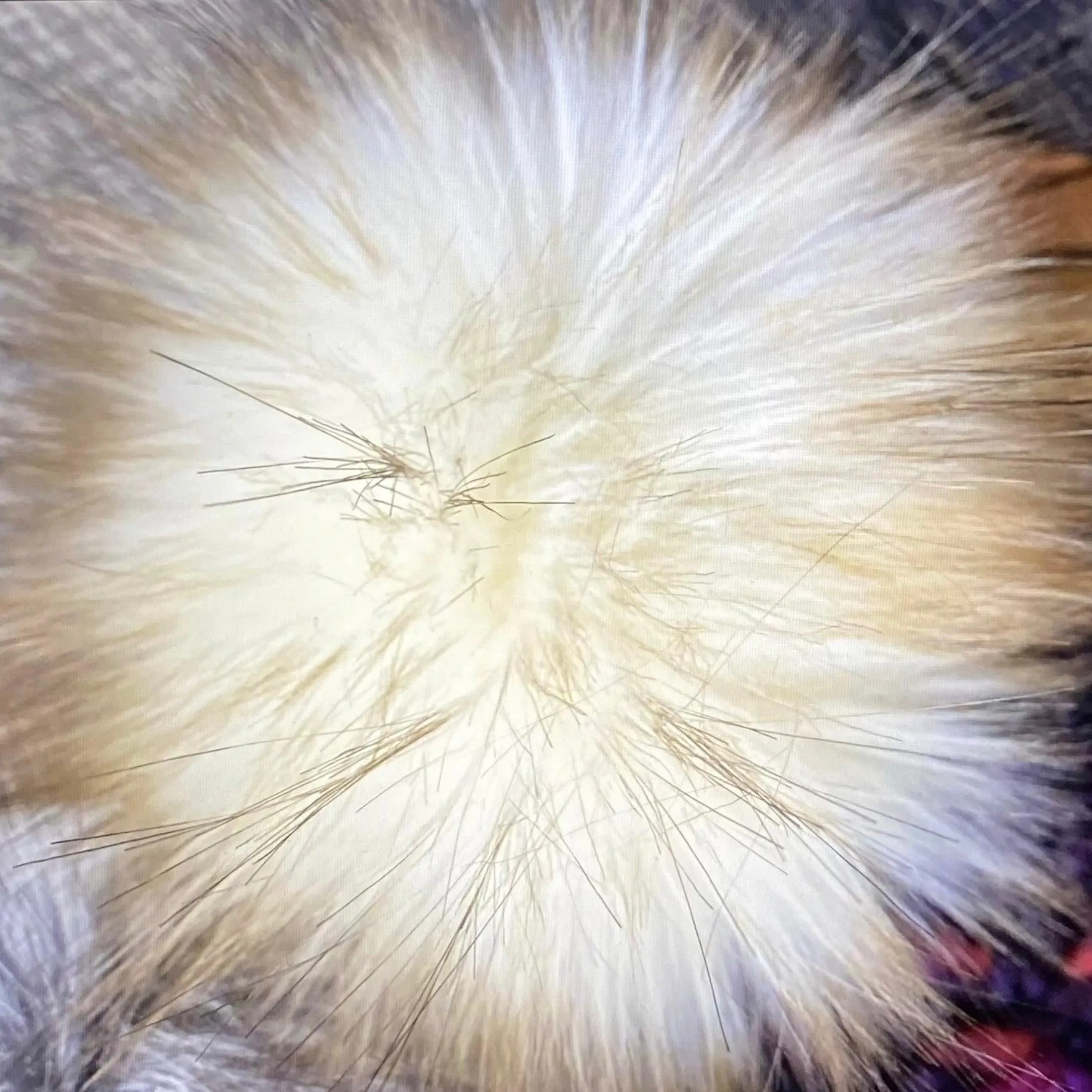 Large Pom Pom White Bag Charm Puffball Handbag Accessory