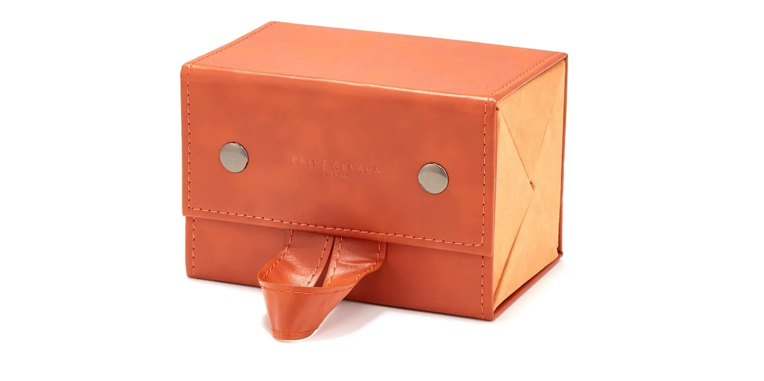 The Store & Go Case