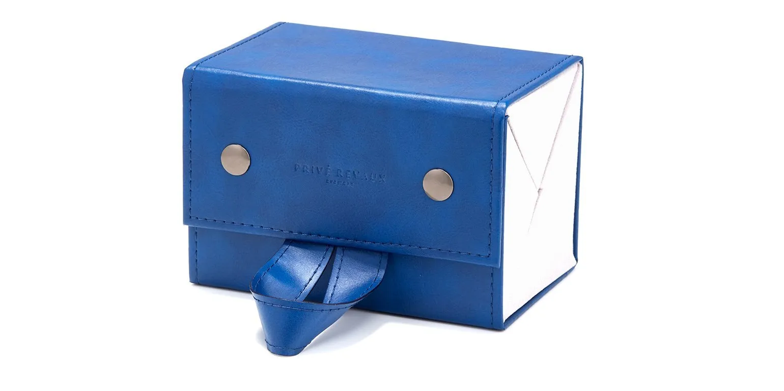 The Store & Go Case